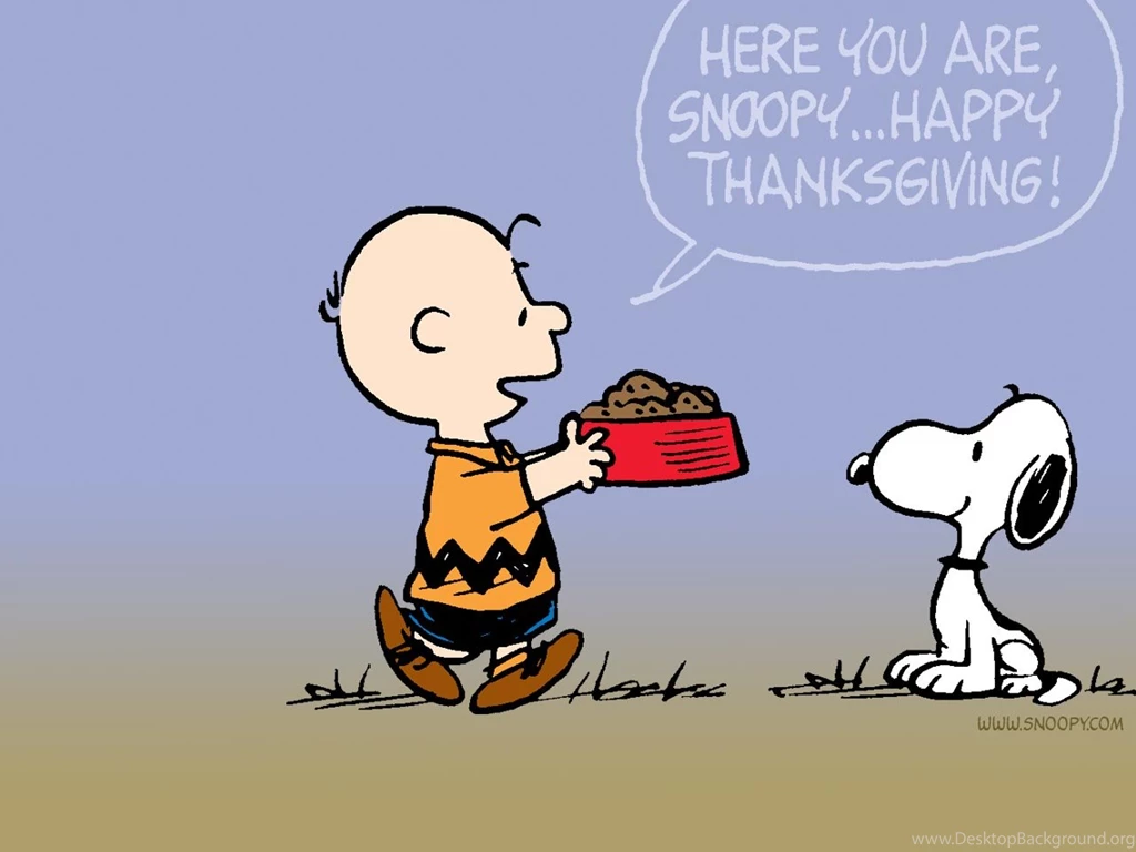 Funny Thanksgiving Images Wallpapers High Definition
