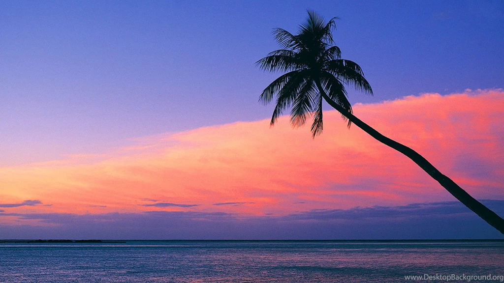 Look At The Pink Sunset From The Beach Wallpapers Beach Wallpapers