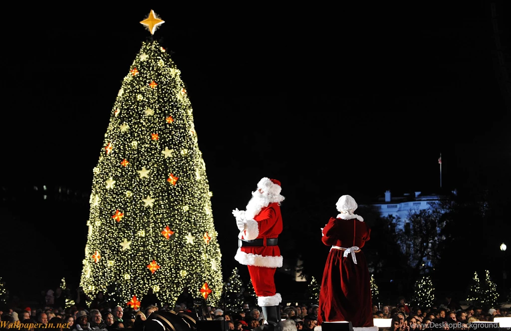 Most Beautiful HD Wallpapers For Christmas Tree