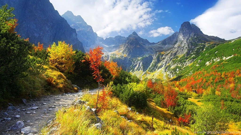 Fall Scenery Wallpapers Wallpapers High Definition