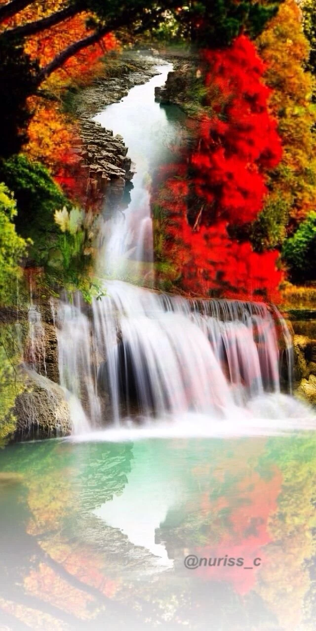 Have A Great Day... From @nuriss_c