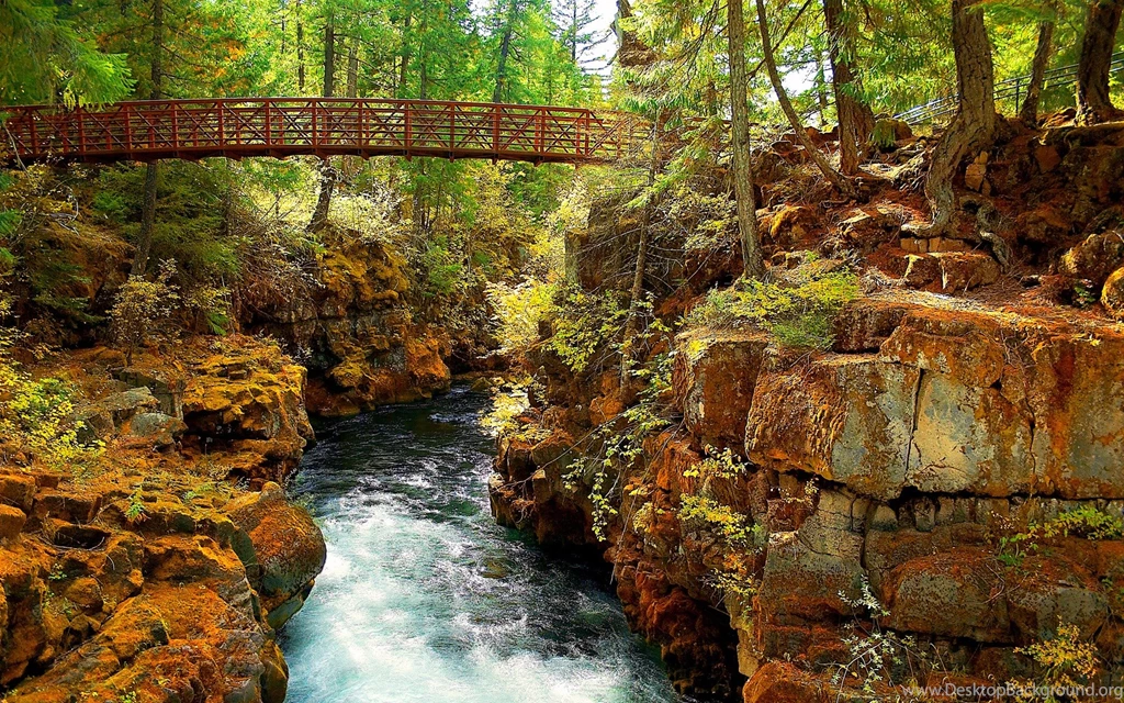 Download The Fall Trail Bridge Wallpaper, Fall Trail Bridge iPhone ...