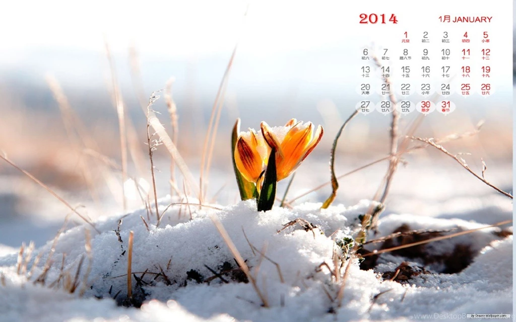 Free Wallpapers Free Art Wallpapers January 2014 Calendar ...