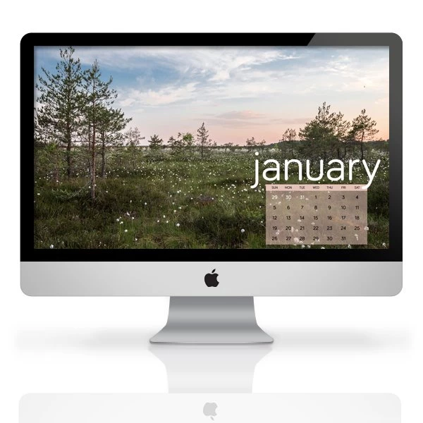 FREE January 2014 Wallpapers Downloads Dream A Little Bigger