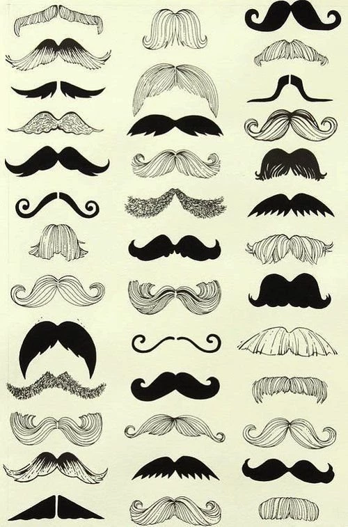 Mostachos! On Pinterest