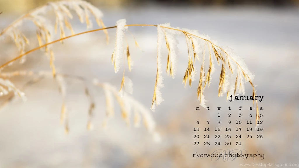 Free Desktop Wallpapers For January 2014