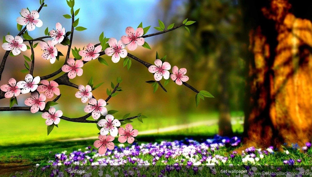 Here's The Live Wallpapers From The Sony Xperia Z2, Ripped And ...