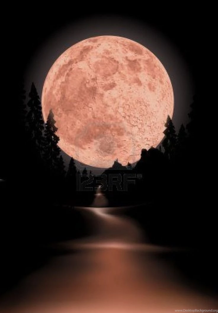 Glowing Fullmoon Backgrounds The Moon Is Completely Round To Use ...