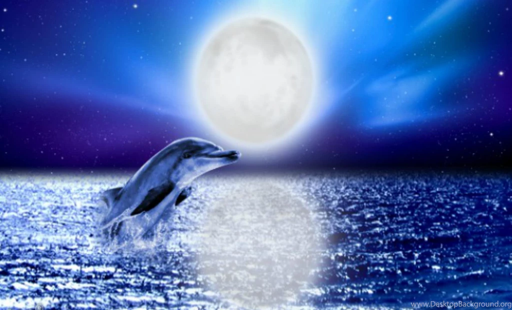 Magic Full Moon Night (