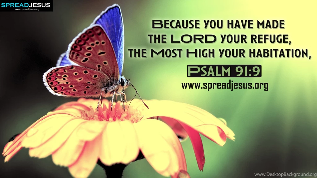 Psalm 91 Quotes. QuotesGram