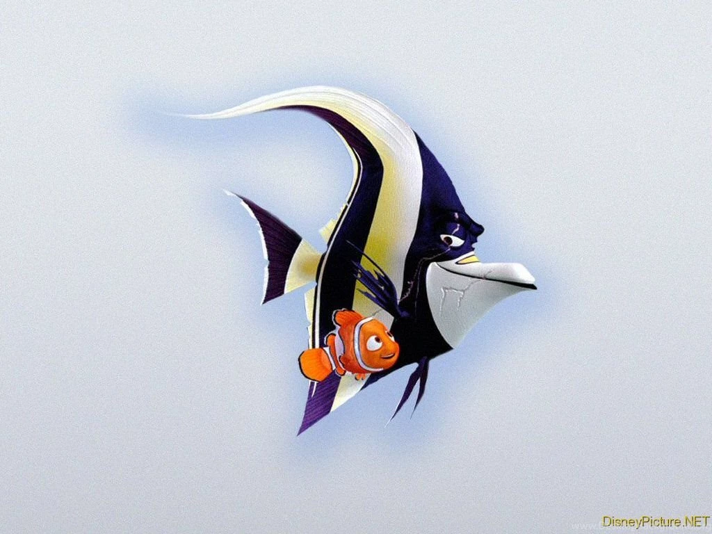 Free Nemo 1024x768 Picture, Free Nemo 1024x768 Image, Free Nemo ...