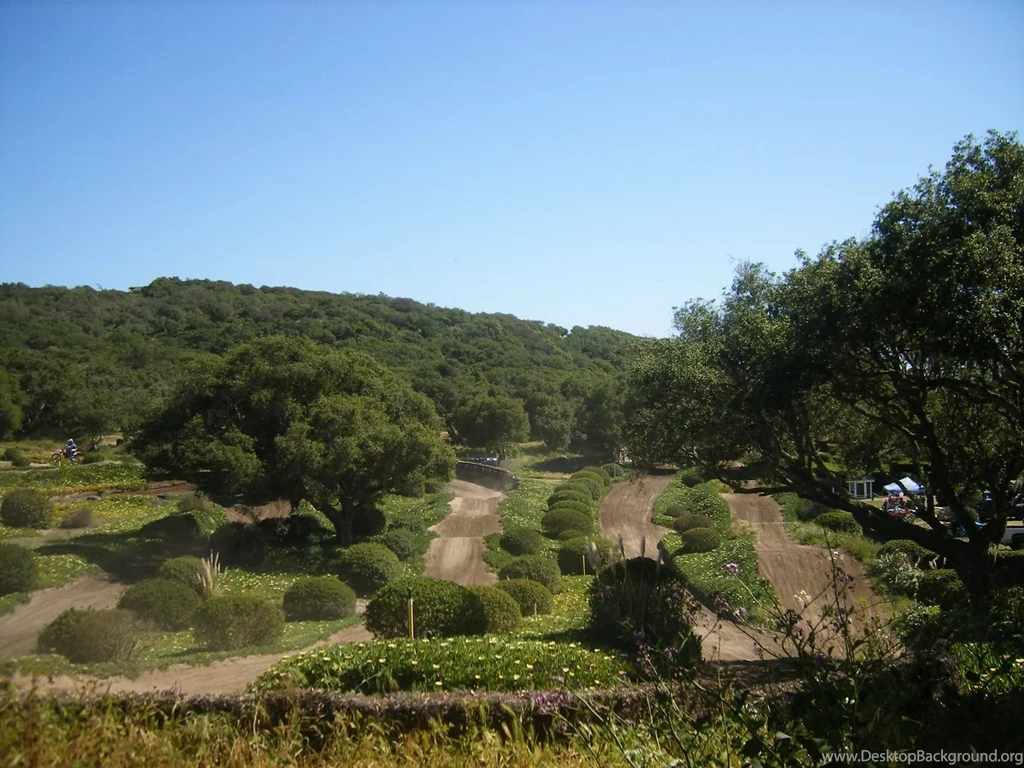 Killer Back Yard Track!!