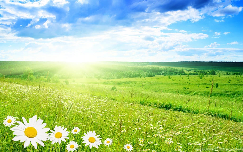 These Are Our Nature Backgrounds Including Some Beaches And Some ...