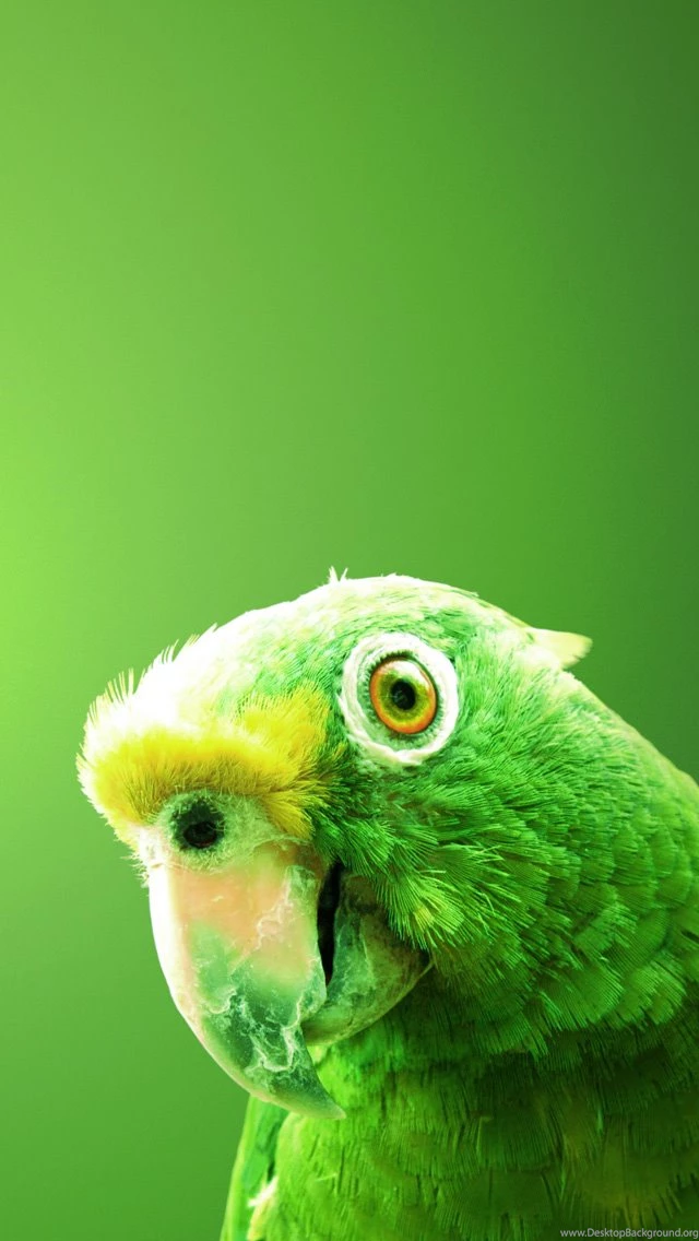 35+ Stunning Fresh HD iPhone Wallpapers