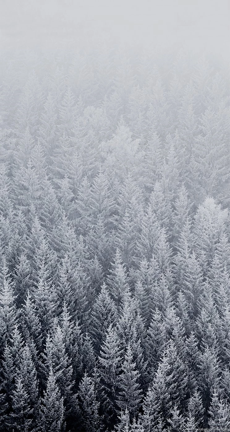 Download The New IOS 8 Wallpapers