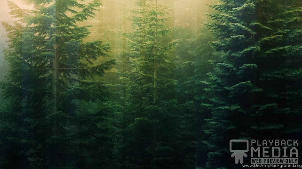 Calming Nature Green 4 Motion Backgrounds