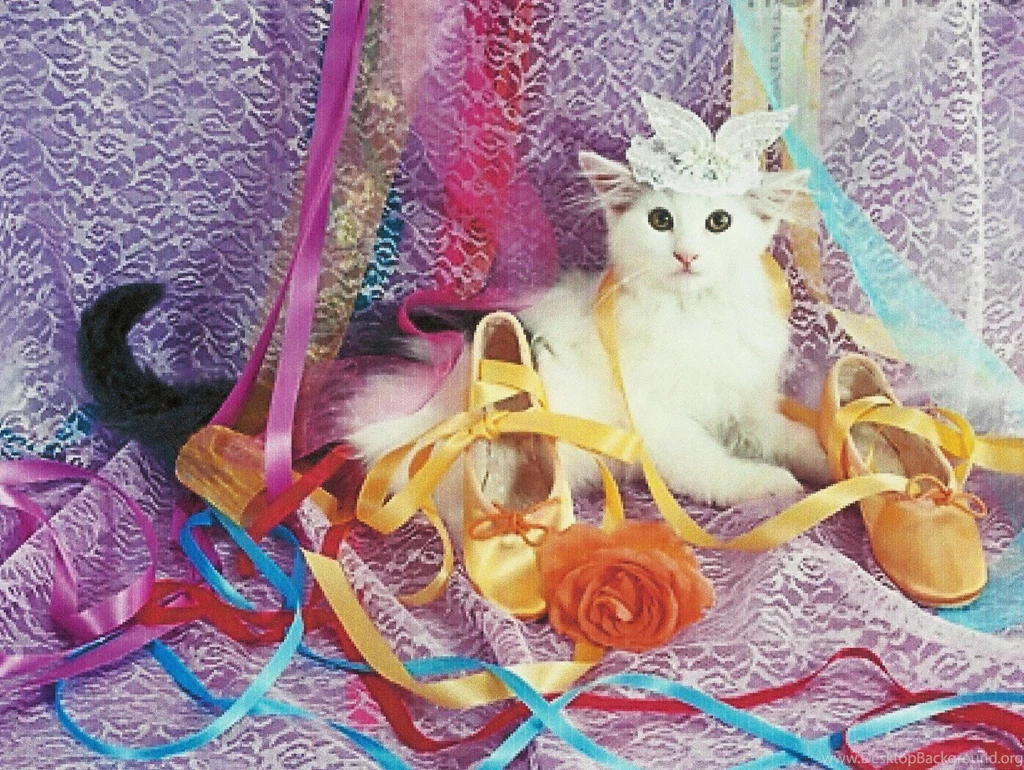 Shoes Wallpapers >> Backgrounds With Quality HD