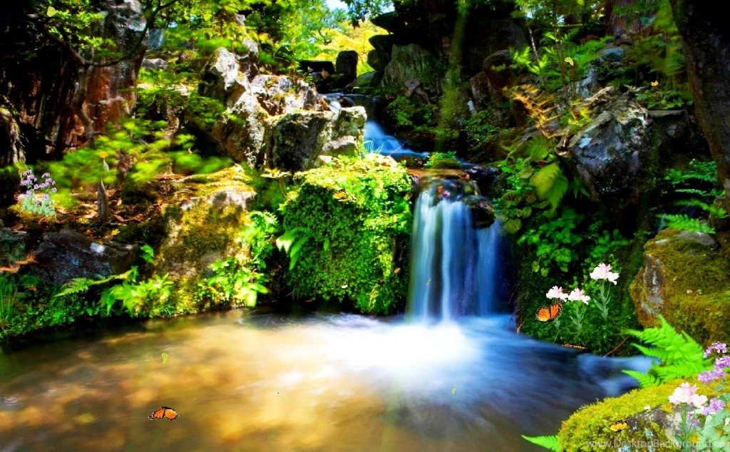 Jestingstock.com Animated Nature Wallpapers Desktop Gif