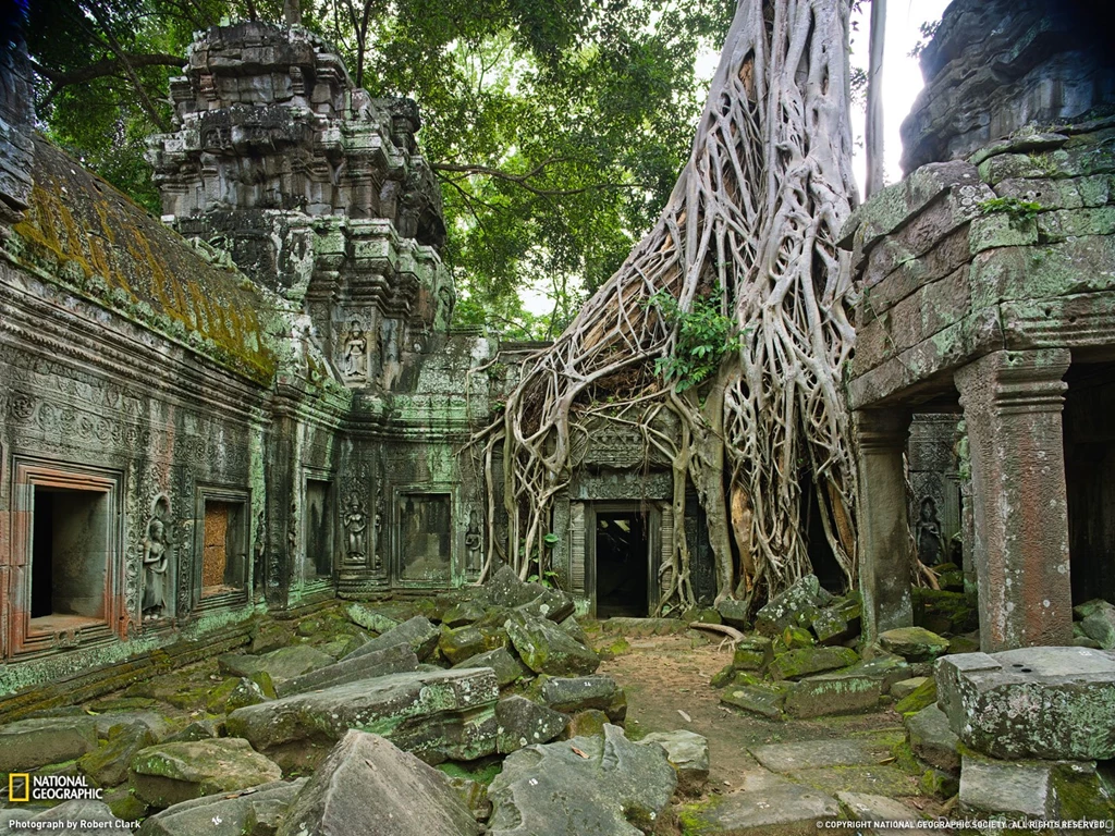 Ta Prohm Ruins Photo, Travel Wallpapers National Geographic Photo ...