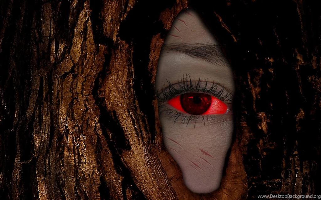 Photo Manipulation: