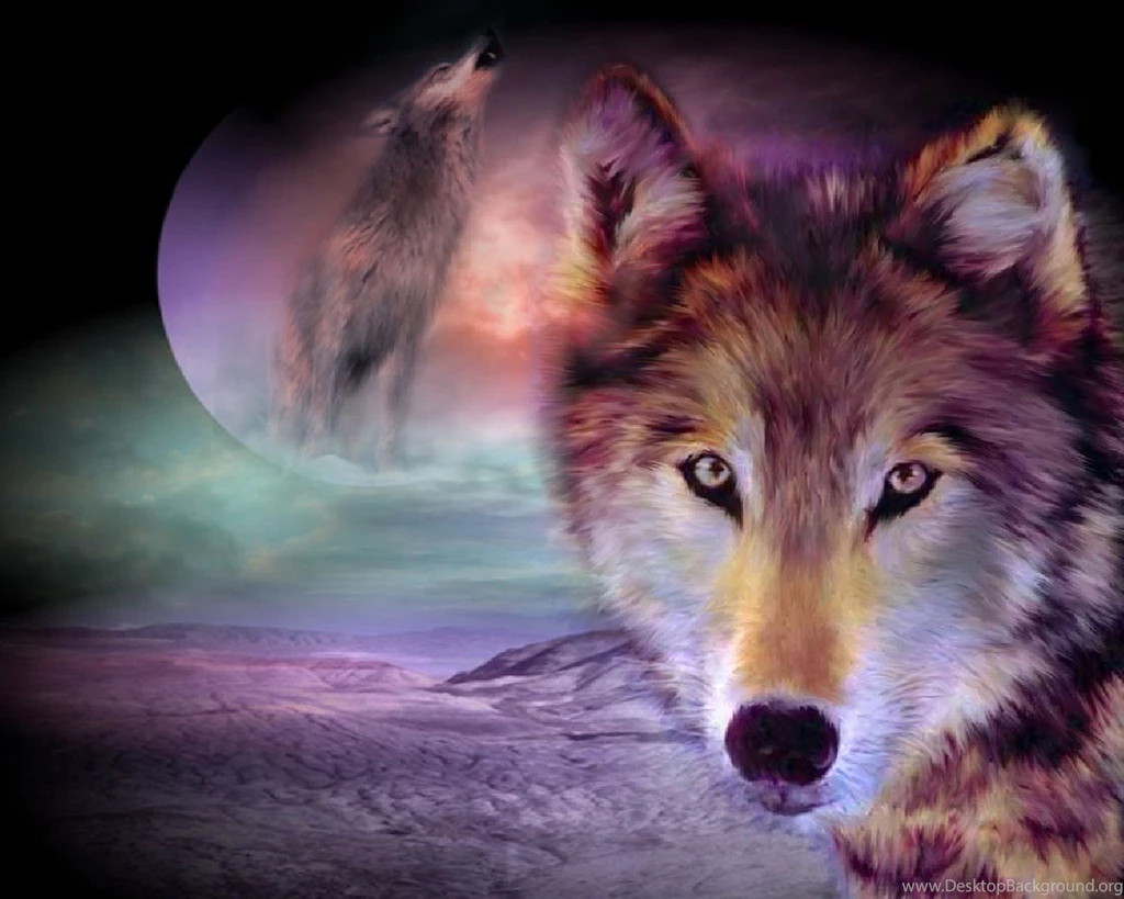 Wolf Desktop Backgrounds Desktop Backgrounds