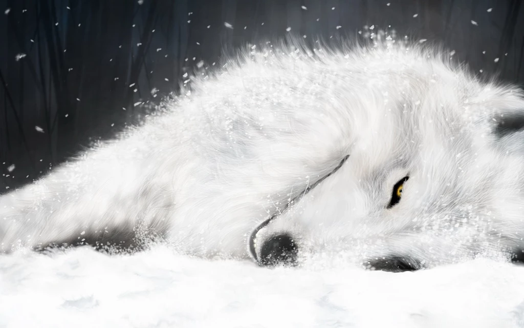 Wolf Wallpapers Hd Stay1021