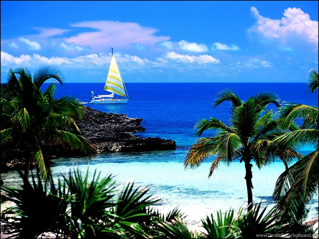Free Desktop Wallpapers And Screensavers 5 Items