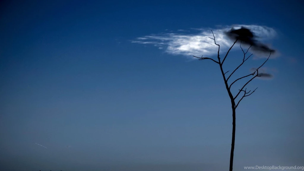 Cloud In Grey Sky   (
