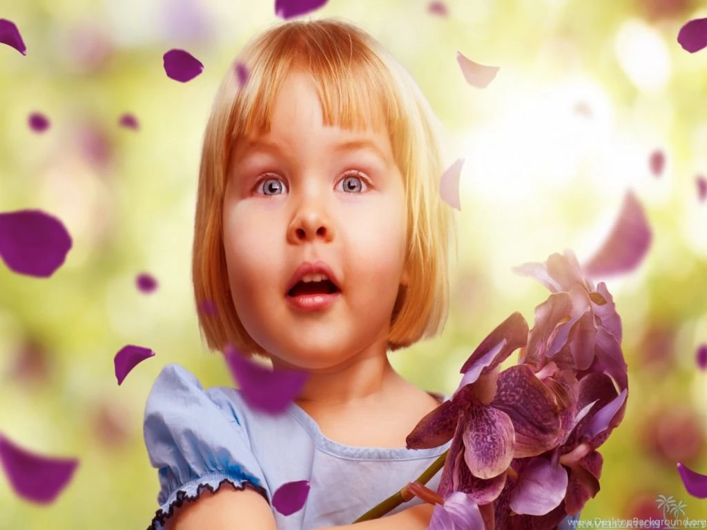 Refreshing And Beautiful Flowers Wallpapers