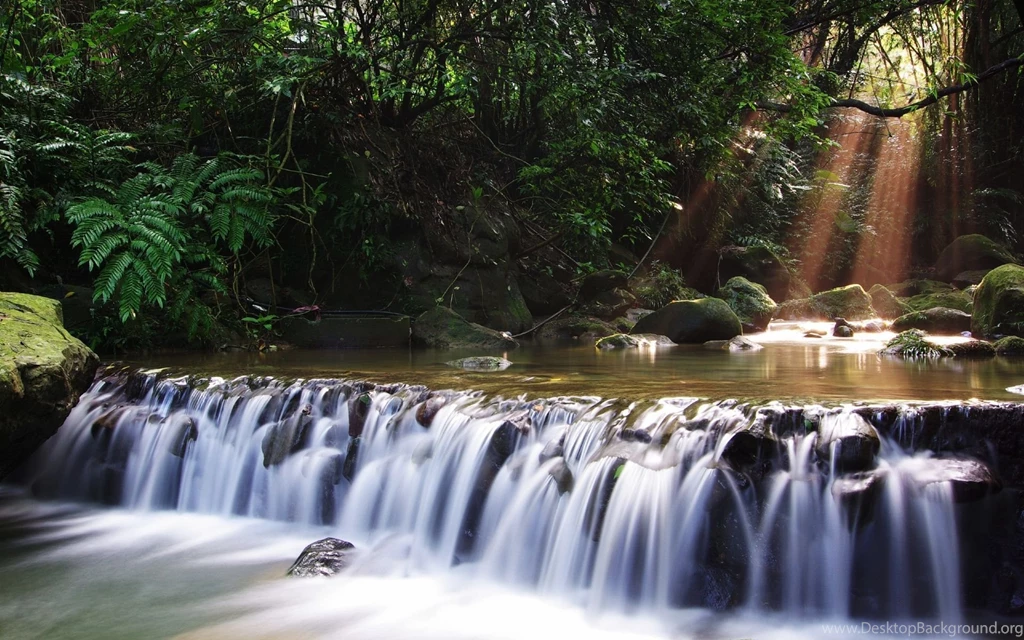 Nature: India, Picture Nr. 34473