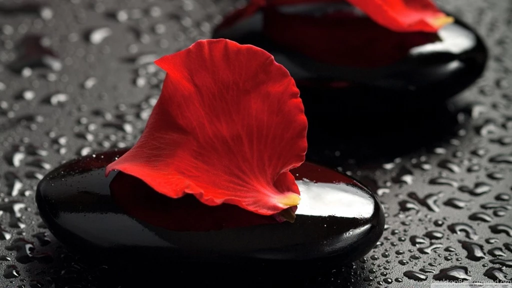 Zen Stones And Rose Petals HD Desktop Wallpapers : High Definition ...