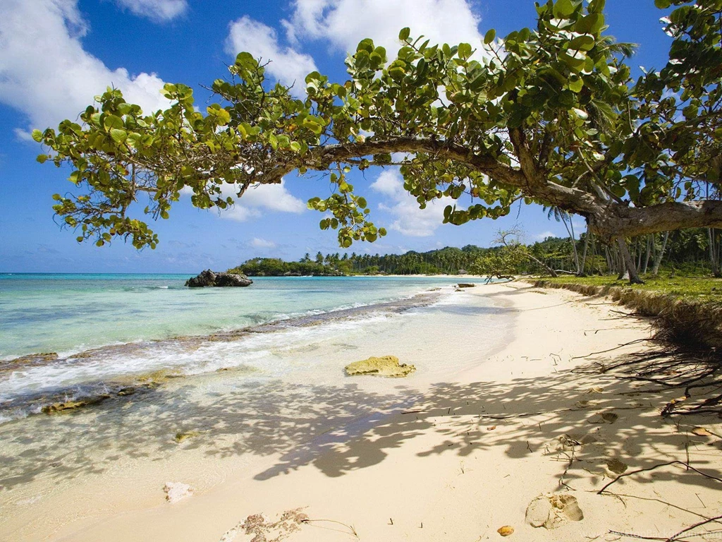 Free Wallpapers For Desktop Summer Wallpapers Cave