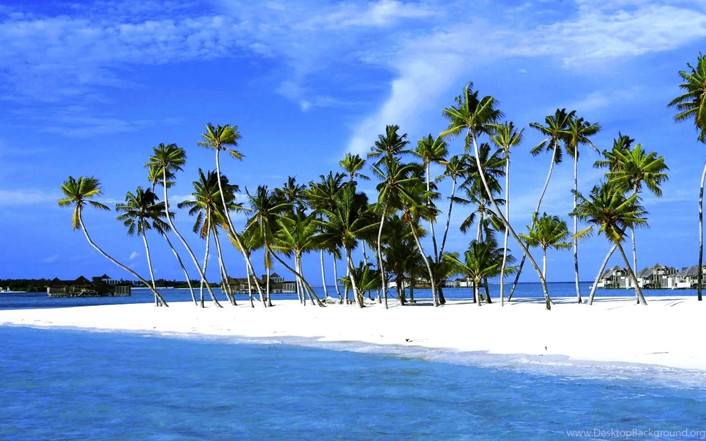 Holiday Free Wallpapers For Desktop: Holiday By Free Download Best ...
