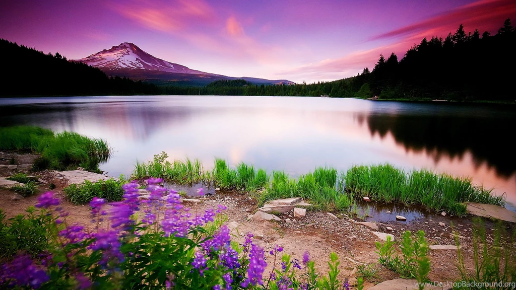 3d Hd Wallpapers Widescreen Nature
