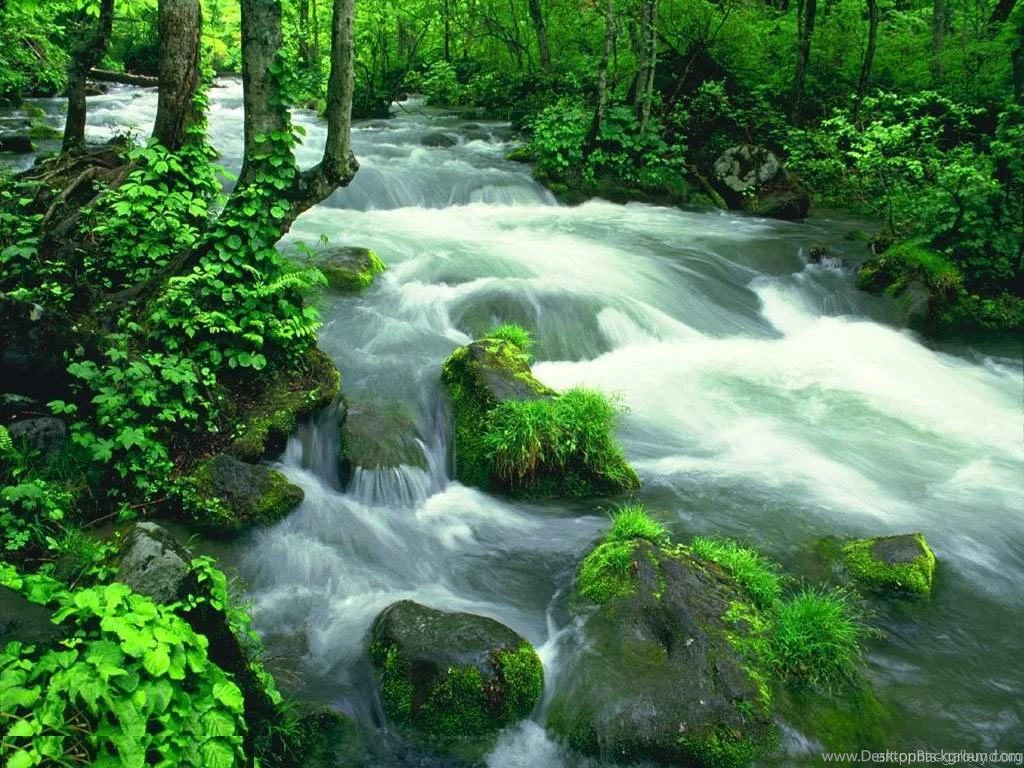Widescreen Nature Desktop Wallpapers