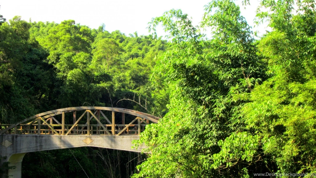 Climbing Tag Wallpapers: Suspension Bridge Mountain Swinging ...