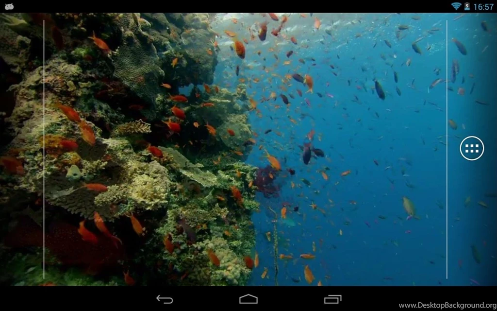 Kitkat Fish Live Wallpapers Android Apps & Games On Brothersoft.com