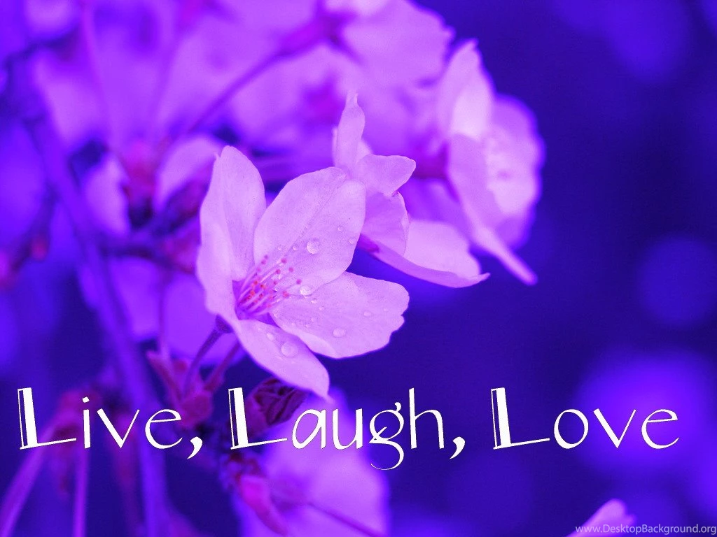 Live Love Laugh Pictures Wallpapers HD Wide