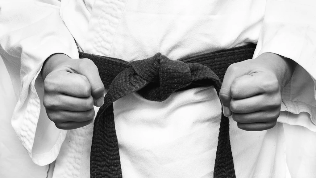 Download Wallpapers 1920x1080 Karate, Kimono, Fighter, Sport, Fists ...