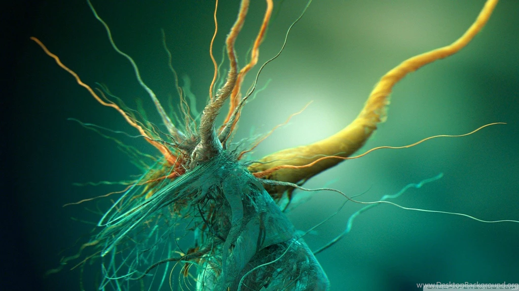 Wallpapers For PC Free   Wallpapers For Desktop