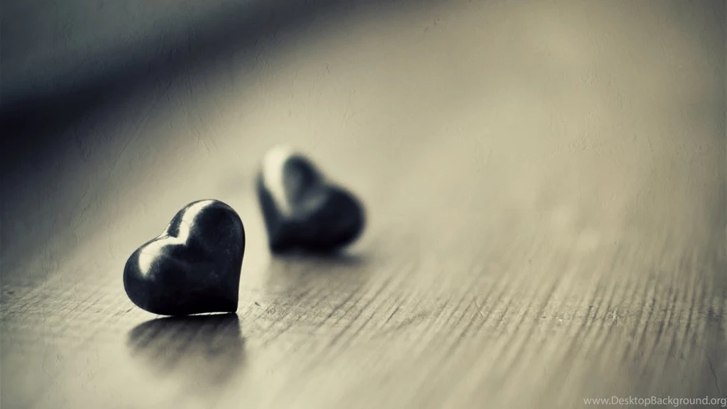 19個關於戀愛的絕妙比喻 MSTORY 資訊網站