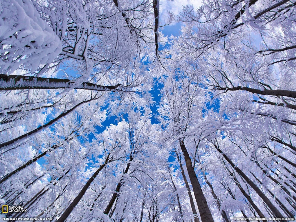 BEAUTIFUL NATURE WALLPAPERS HD