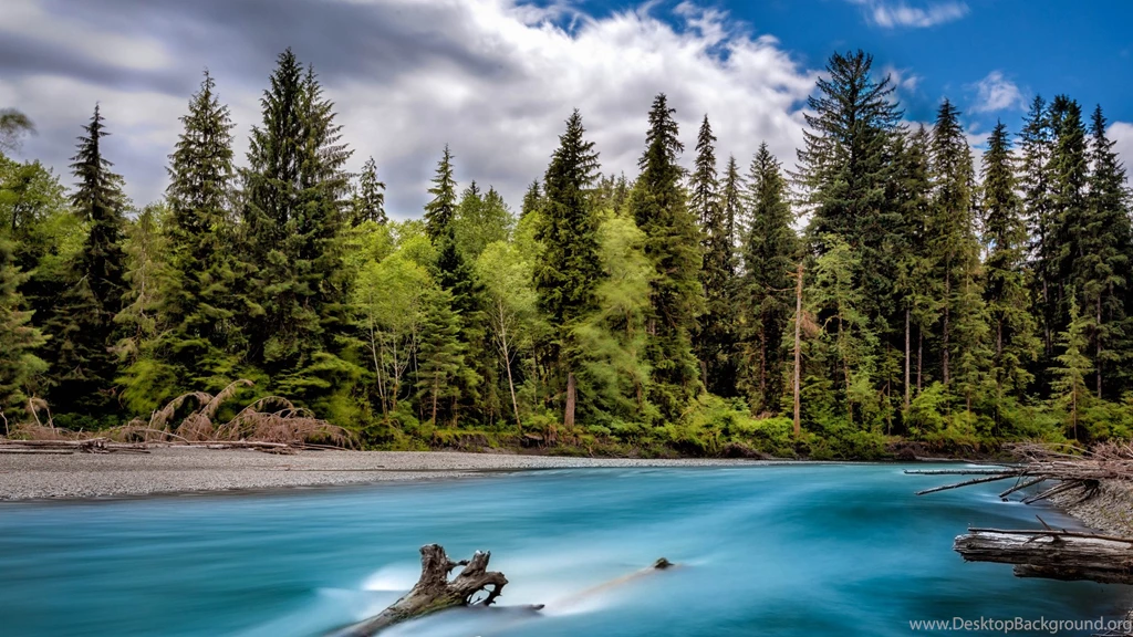Olympic National Forest Wallpapers