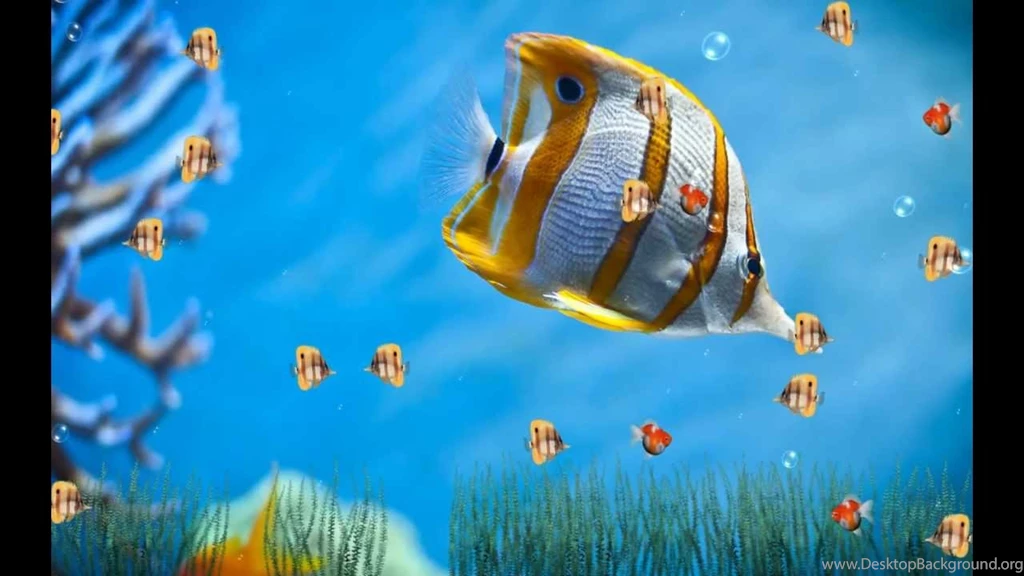 Marine Life Aquarium Animated Wallpapers Http://www.desktopanimated ...