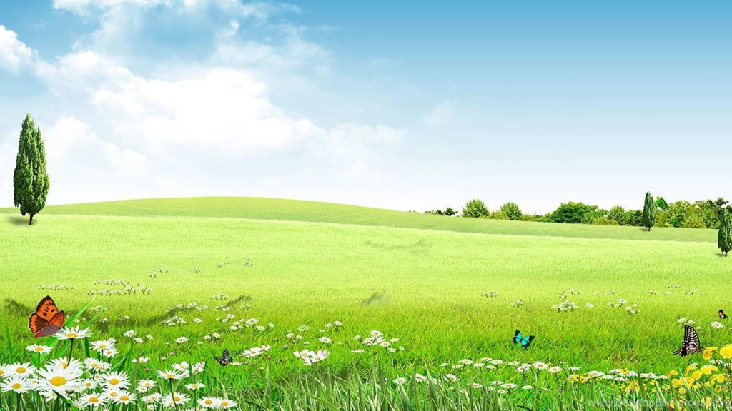 Spring Live Wallpapers Android Apps And Tests AndroidPIT