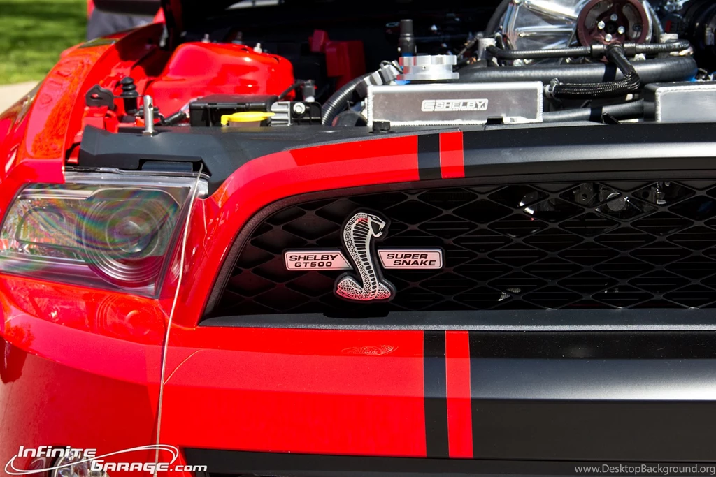 Shelby Super Snake Wallpapers » Infinite Garage