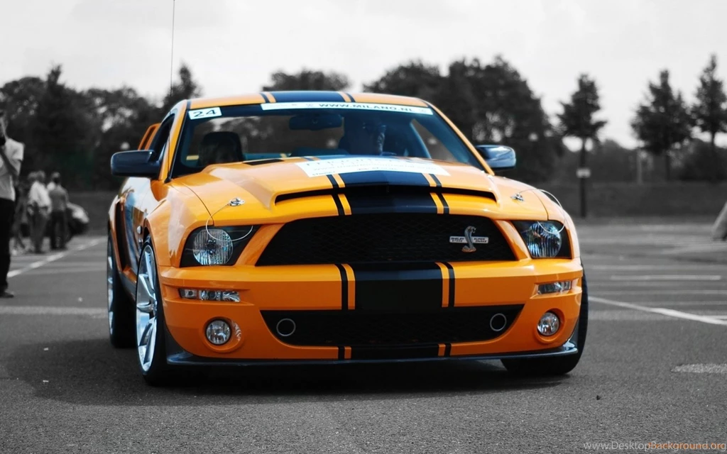 Ford Shelby GT500 Super Snake Wallpapers