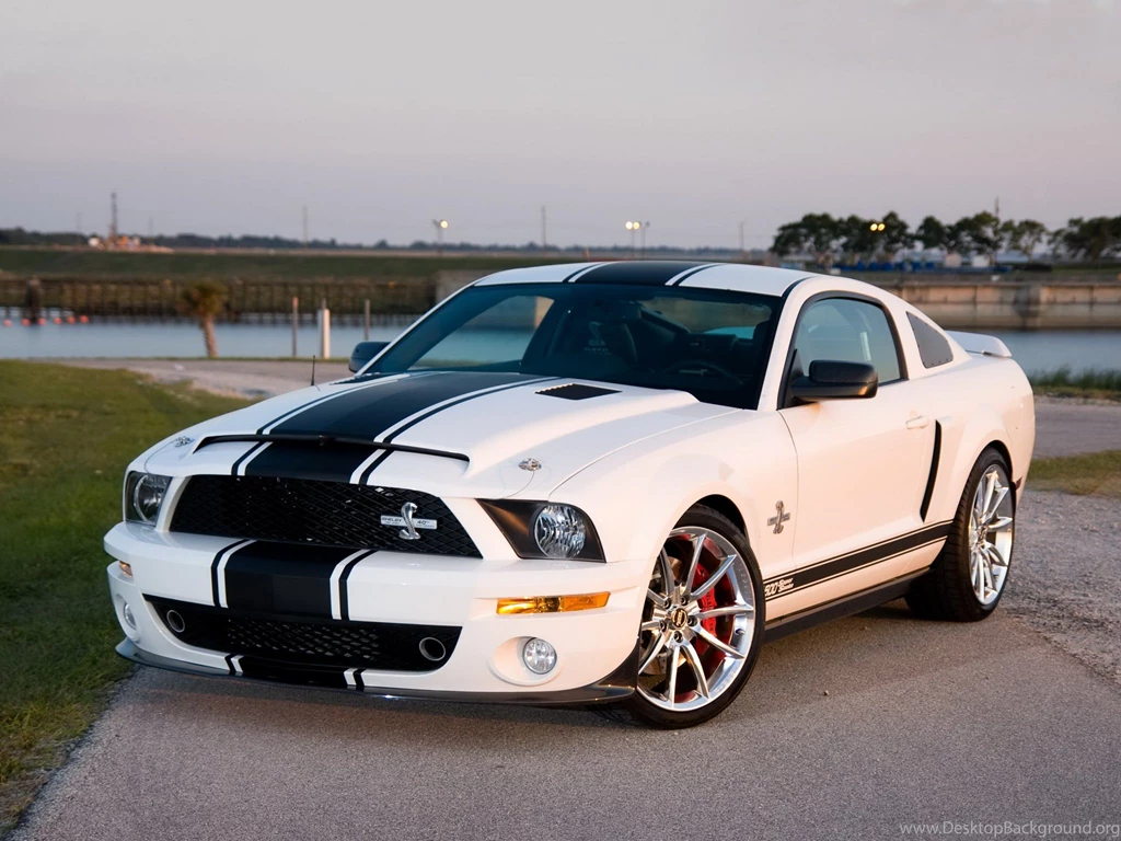 2008 Shelby GT500 Super Snake Muscle Ford Mustang G Wallpapers ...