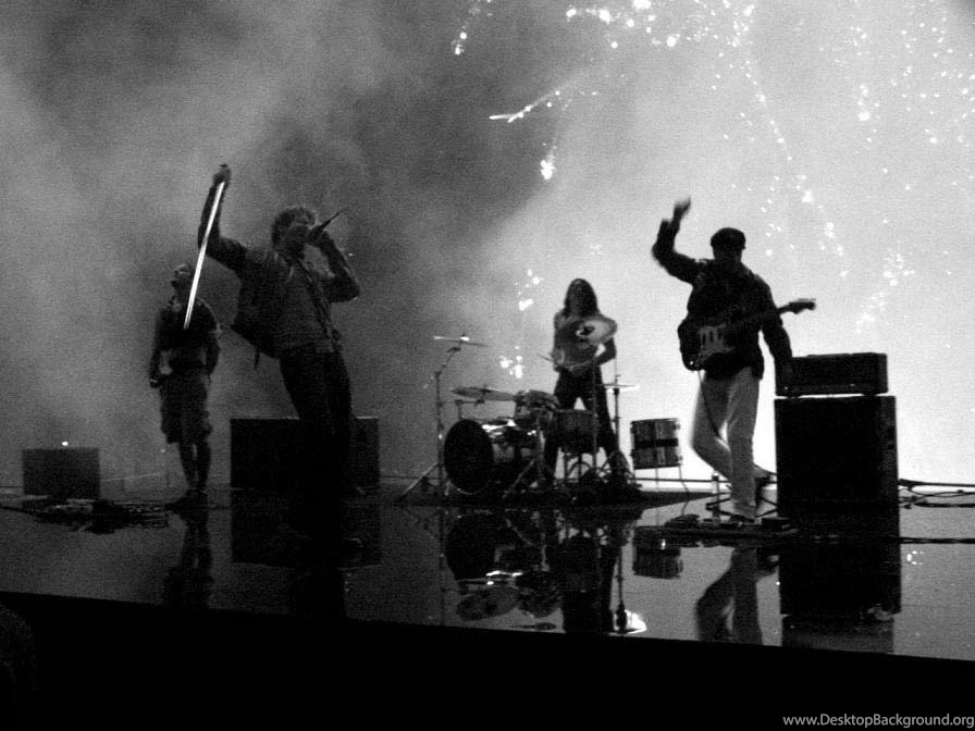 THE NOBODIES