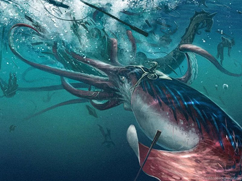 Edith Widder: How We Found The Giant Squid